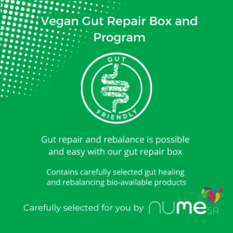 Vegan Gut Repair Box
