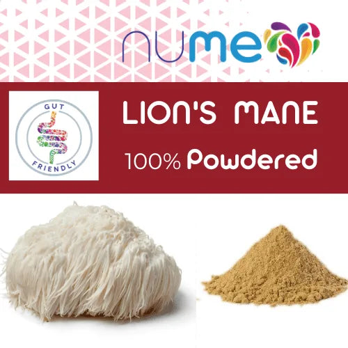 Lion's Mane Mushroom Powder - 100g