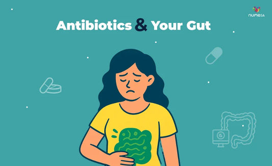 Gut Health After Antibiotics: How to Bounce Back Naturally