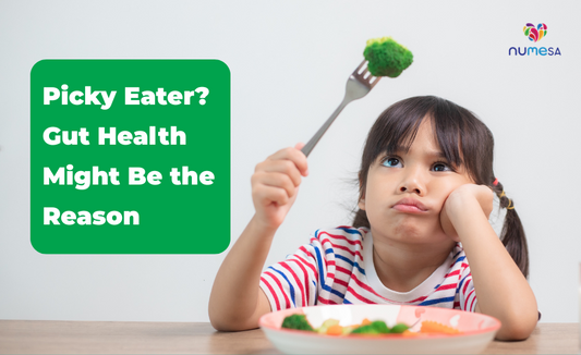 Picky eater child holding broccoli - gut health by NuMeSA