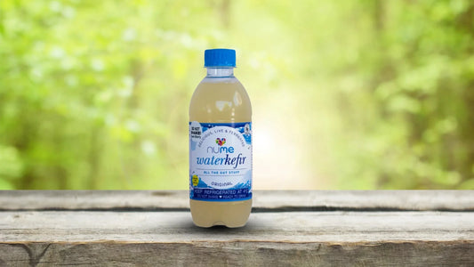 Water Kefir South Africa | NuMeSA - Natural Probiotic Drink for Gut Health