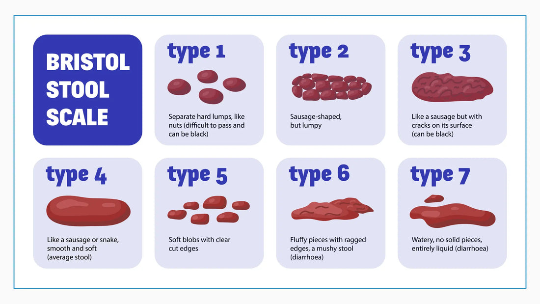 What Is the Bristol Stool Chart and What Can It Tell You About Digestion?