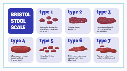 What Is the Bristol Stool Chart and What Can It Tell You About Digestion?