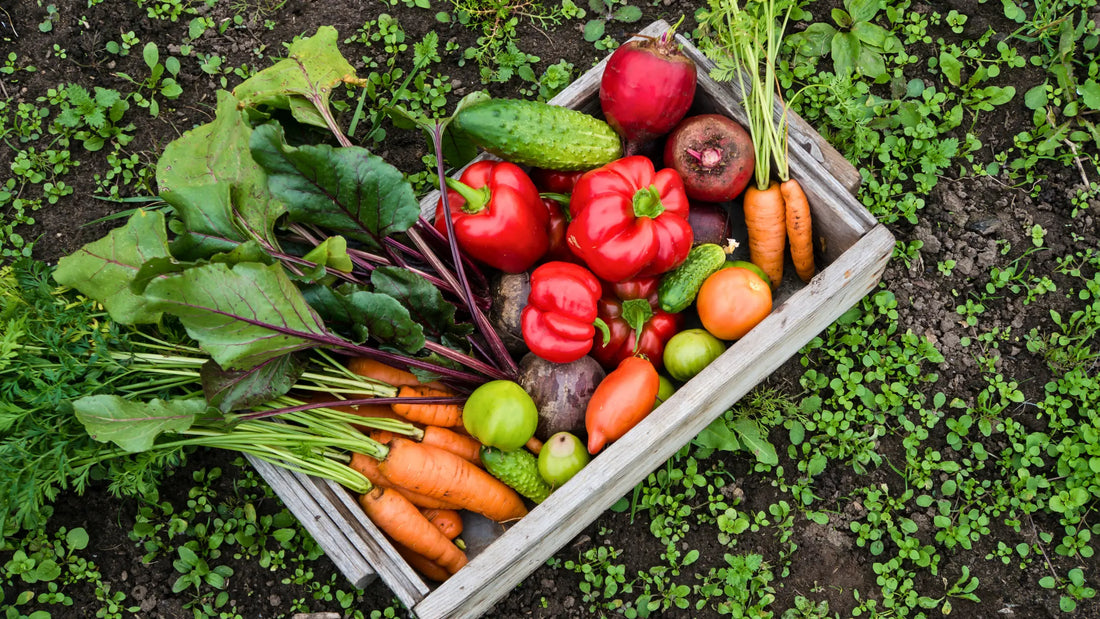 How Many Different Plants Should You Eat for Better Gut Health?