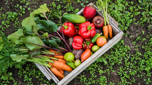 How Many Different Plants Should You Eat for Better Gut Health?