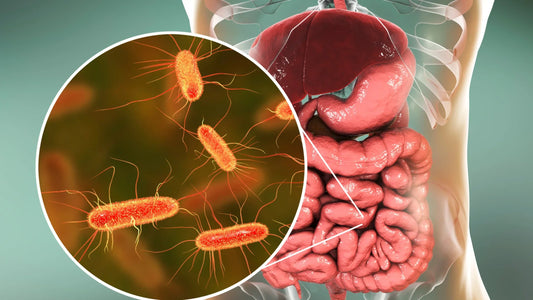 Your Gut Microbiome Is an Ecosystem: Why Diversity Matters