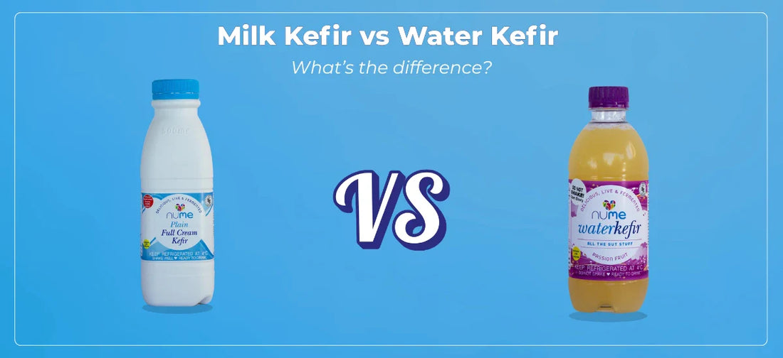 Milk Kefir vs Water Kefir: The Surprising Gut Benefits You Need to Know