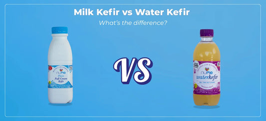 Milk Kefir vs Water Kefir: The Surprising Gut Benefits You Need to Know