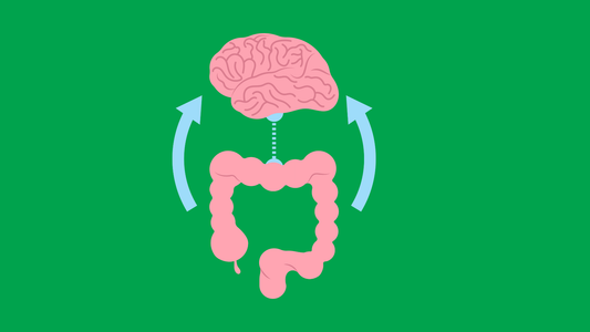 The Gut–Brain Connection: How Your Microbiome Affects Mood, Anxiety & Mental Health