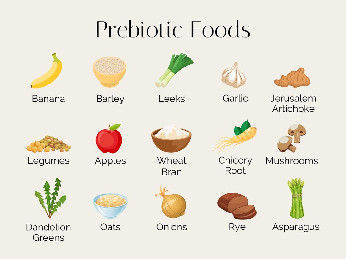 Prebiotics vs Probiotics: What’s the Difference and Why Your Gut Needs Both