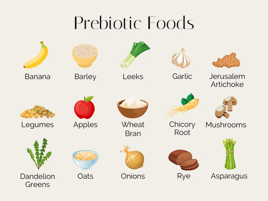 Prebiotics vs Probiotics: What’s the Difference and Why Your Gut Needs Both