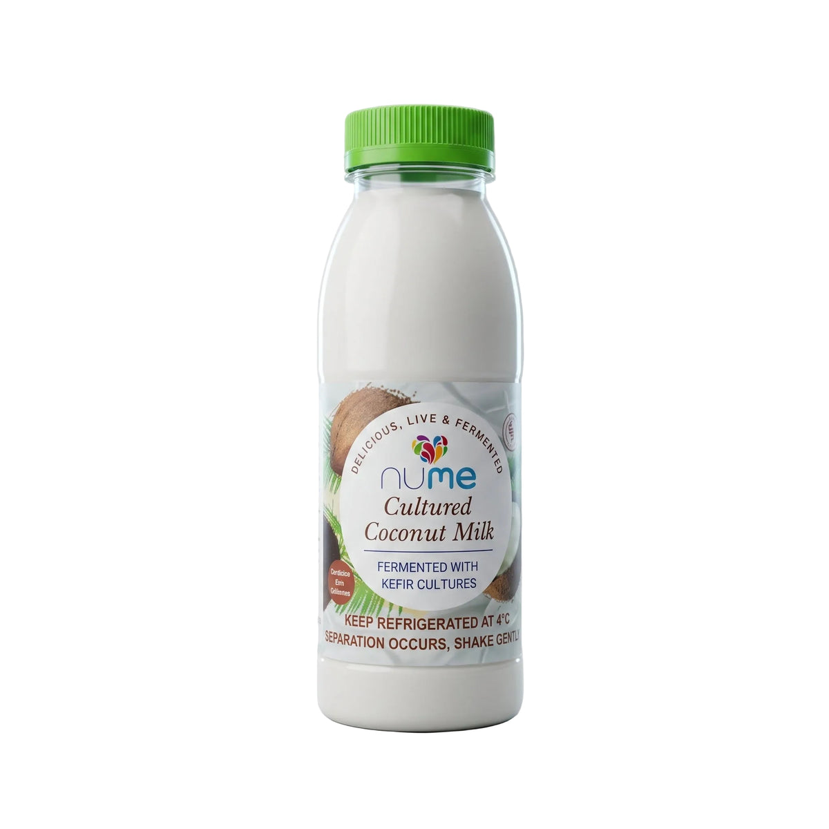 Coconut Milk Kefir (Vegan)