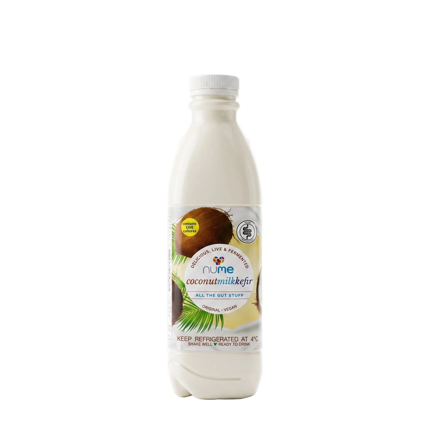 Coconut Milk Kefir (Vegan)