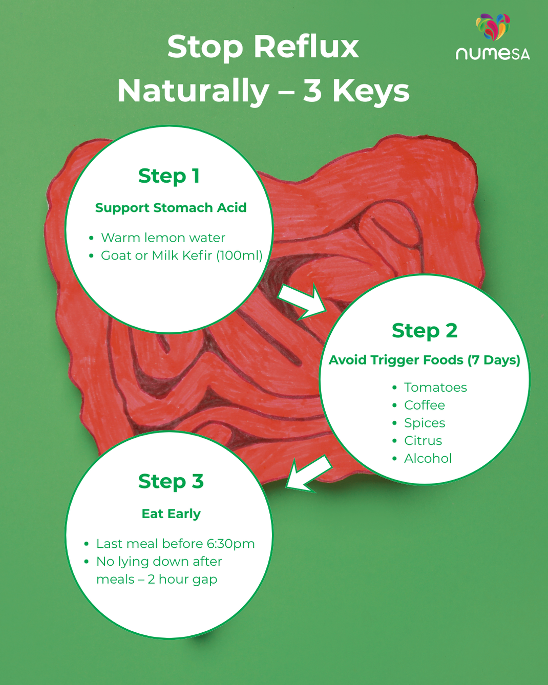 Reflux & Heartburn Healing Guide – NuMeSA