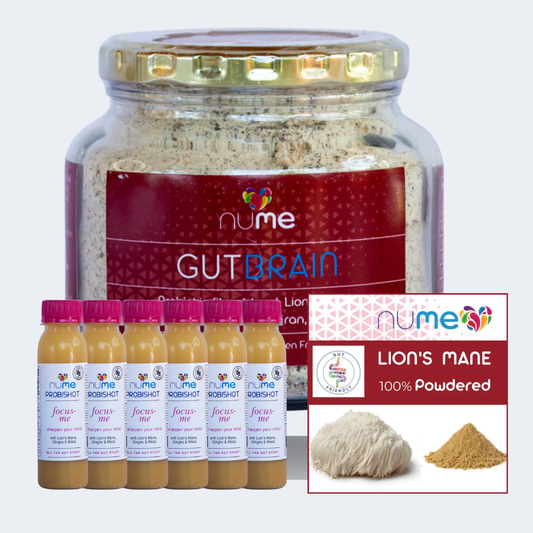 Focus + Gut Health Power Bundle — All 3 for R750 (Free Shipping!)