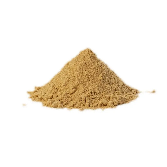 Lion's Mane Mushroom Powder - 100g