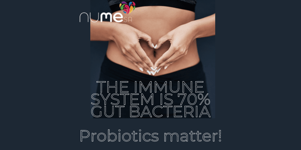Gut health and probiotics – what’s the big deal?