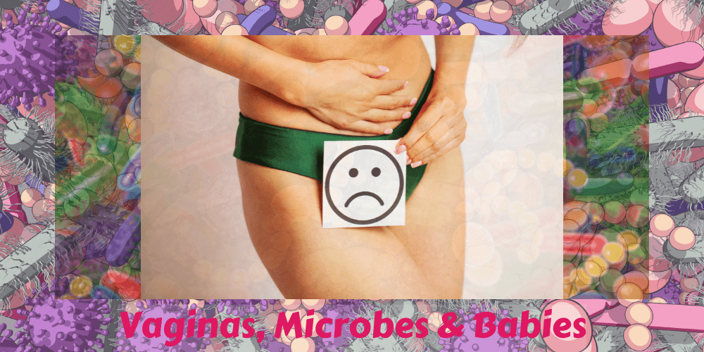 Vaginas, Microbes & Babies